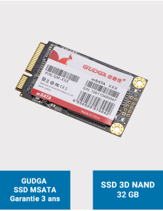 GUDGA Internal Solid State Drive MSATA 32GB