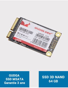 GUDGA Internal Solid State Drive MSATA 64GB