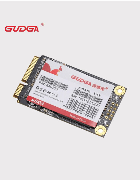 GUDGA Internal Solid State Drive MSATA 2TB