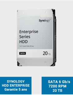 Synology HAT5310 20TB HDD Disk