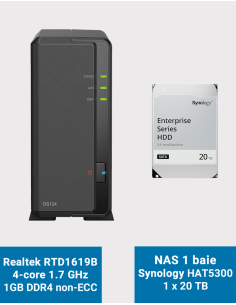 Synology DiskStation DS124 NAS Server HAT5300 20B (1x20TB)