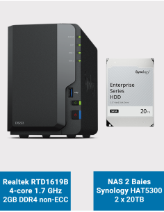 Synology DS223 NAS Server HAT5310 40TB (2x20TB)