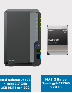 Synology DiskStation DS224+ 2GB NAS Server HAT5300 16TB (2x8TB)