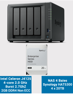 Synology DS423+ 2Go Serveur NAS HAT5300 80To (4x20To)