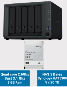 Synology DiskStation DS1522+ Serveur NAS HAT5300 100To (5x20To)