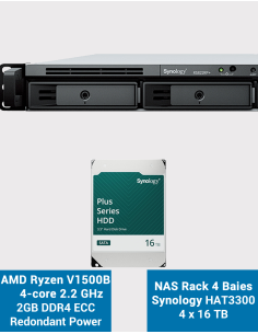 Synology RS822RP+ 2GB NAS Server Rack 1U HAT3300 64TB (4x16TB)