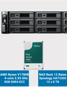 Synology RS2423+ NAS Server Rack 2U 12-Bay HAT3300 96TB (12x8TB)