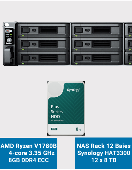 Synology RS2423+ NAS Server Rack 2U 12-Bay HAT3300 96TB (12x8TB)