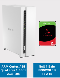 Qnap TS-133 NAS Server Seagate IronWolf 2TB (1x2TB)