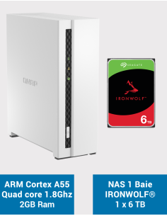 Qnap TS-133 NAS Server Seagate IronWolf 6TB (1x6TB)