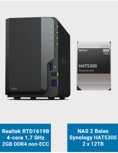 Synology DS223 NAS Server HAT5300 24TB (2x12TB)