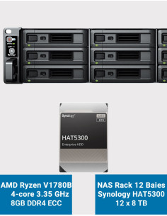 Synology RS2423+ Servidor NAS Rack 2U 12 ranuras HAT5300 96TB (12x8TB)