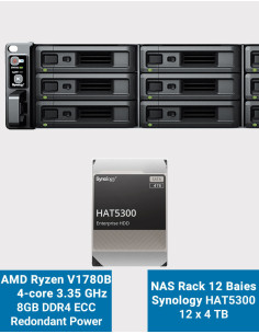 Synology RS2423RP+ Servidor NAS Rack 2U 12 ranuras HAT5300 48TB (12x4TB)