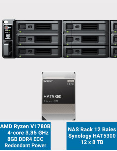 Synology RS2423RP+ NAS Server Rack 2U 12-Bay HAT5300 96TB (12x8TB)