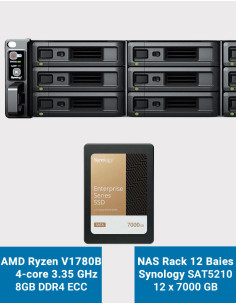 Synology RS2423+ Servidor NAS Rack 2U SAT5210 84TB (12x7000GB)