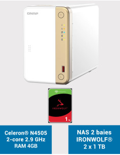 QNAP TS-262 4GB Serveur NAS IRONWOLF 2To (2x1To)
