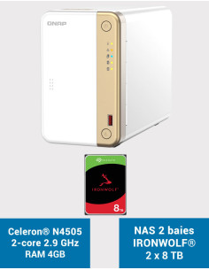QNAP TS-262 4GB NAS Server IRONWOLF 16TB (2x8TB)