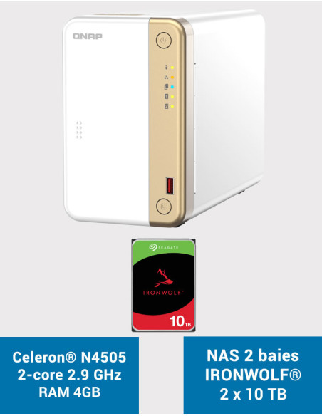 QNAP TS-262 4GB NAS Server IRONWOLF 20TB (2x10TB)
