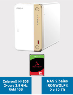 QNAP TS-262 4GB NAS Server IRONWOLF 24TB (2x12TB)
