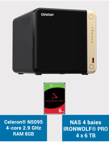QNAP TS-464 8GB NAS Server 4 bays IRONWOLF PRO 24TB (4x6TB)