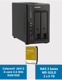 QNAP TS-253E 8GB NAS Server 2 bays WD GOLD 12TB (2x6TB)