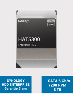 SYNOLOGY HAT5300 8TB HDD Disk