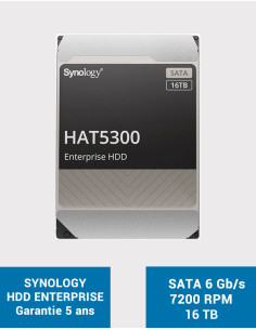 SYNOLOGY HAT5300 Disco duro de 16TB