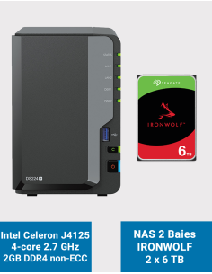 Synology DiskStation DS224+ 2GB NAS Server IRONWOLF 12TB (2x6TB)