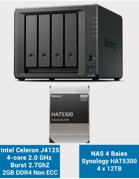 Synology DS423+ 2GB NAS Server HAT5300 48TB (4x12TB)